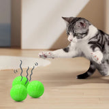 12Pcs Cat Deterrent Natural Peppermint Oil Cat & Dog Nature Repellent To Keep Feral Cats Stray Dogs Out of Yard