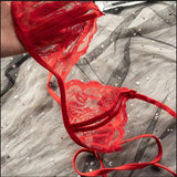 Transparent Sexy Lace Bra Set Exotic Sets Hollow Bra And Panty  Women Prints Intimates Underwear Porn Fancy Sexy Luxury Lingerie