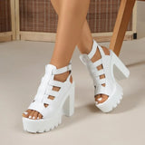 High Heel Sandals Women's Summer New Thick Heel Waterproof Platform Thick Bottom  Fashion Shoes  luxury sandals