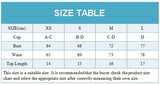 ZTVitality Sexy Print Bikini Set 2024 New Arrival Padded Bra Bandage Strapless Swimsuit Women Swimwear Summer Beachwear Biquini