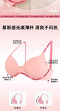 Wireless Non Padded Bra Set for Small Bust Seamless Comfort Bralette & Briefs Pure Elegant Ladies Intimates Teen Girls Underwear