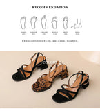 2025 Hot Sale Women's Shoes Open Toe Women's Sandals Fashion Leopard Print Office and Career New Plus Size Heeled Sandalszapatos