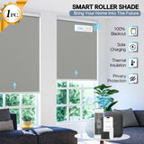 Format Smart Roller Shades With Remote Control For Windows