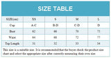 ZTVitality Sexy Brown One Shoulder Bikini Set 2024 New Arrival Padded Bra Swimsuit Women's Swimwear Summer Beachwear Biquini