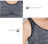 New Sports Bra Women Seamless Gym Jogging Crop Top Female Tops Yoga Fitness Shockproof Vest Sport Bras for Women Sutian Feminino
