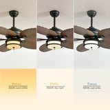 Orison Outdoor Ceiling Fan With Lights Dimmable LED 6 Speed