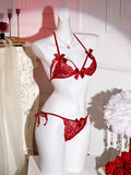 Sexi French Lace Bra And Panty Set Perspective Sex Erotic Costumes Lingerie Set Underwear Babydoll Dress Sexy Lingerie For Women
