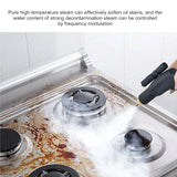 220V 110V 3000W High Pressure Steam Cleaner Machine Pumping Sterilization Disinfector Steam Generator Washer Household Cleaner
