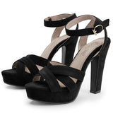 2026 New Block High Heels Sandals Women Peep Toe Ankle Strap Buckle Wedding Party Dress Office Platform Sandals