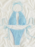 2025 Halter Tie Side Hollow Out Smocked Bikini Women Swimsuit Female Swimwear Two Pieces Bikini Set Swim Bathing Suit Beach Wear