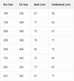 Embroidered Knit Cup Women's Sexy Bras Lace Backless Push-Up Underwire Bra for Women Comfortable Women's Bra