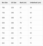 Lace Embroidered Flowers Women Bra Front Closure Push-Up Bra Elegant Back Beauty Underwire Sexy Lingerie