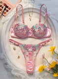 Valentine's Eve Light  Danube Group Ladies Sexy Lingerie Bra Women's Suit - the Temptation of a Seductive Night