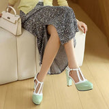 Spring Autumn New Style Fashion High-heeled Women's Shoes Color Block Round Head Shallow Mouth Buckle Square Heel Women's Shoes