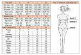 Embroidery Mesh Lace Halter High Cut Bikini Female Swimsuit Women Swimwear Two-pieces Bikini Set Bather Bathing Suit Swim Beach