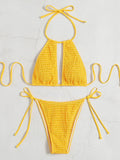 2025 Halter Tie Side Hollow Out Smocked Bikini Women Swimsuit Female Swimwear Two Pieces Bikini Set Swim Bathing Suit Beach Wear