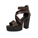Spring and Summer New Model Fashion Chunky Heel Women's Sandals Open-toe Buckle Platform Sexy Party Women's Shoes High 11cm