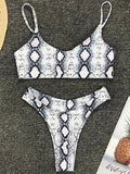 2026 Snake Leopard Brazilian Bikini Female Swimsuit Women Swimwear Two Pieces Bikini Set High Cut Bathing Suit Swim Beach Wear