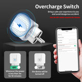 TNCE Tuya Wifi or Zigbee Smart Socket EU Plug 16/20A Power Monitor Remote Control SmartLife APP Work with Alexa Googl Home Alice