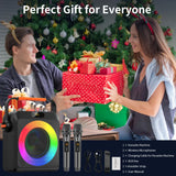 FanFun 2 Wireless Microphones Karaoke Machine T19T Pro