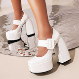 Spring and Autumn New Styles Fashion Round Head High-heeled Women's Shoes Shallow Mouth Buckle Square Heel Mary Jane Women Shoes