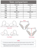Women Floral Lace Sheer Bra See Through Mesh Underwire Bralette Black Bow Unlined Non-Padded Sexy Lingerie Brassiere MR3081