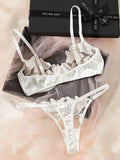 Fairy Lingerie Floral Valentine Charming Brief Panty Underwear Sexy Nighty Underwear Women See Through Bra Brief Set