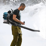 Gas Backpack Leaf Blower 4-Stroke With Cruise Control For Lawn