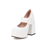 Spring and Autumn New Styles Fashion Round Head High-heeled Women's Shoes Shallow Mouth Buckle Square Heel Mary Jane Women Shoes