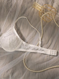 Beautiful fashionable colored strip steel support underwear thin lace semi transparent women's underwear sexy Lingerie HR2635