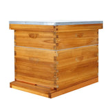 Langstroth Beehive Kit 10 Frame With Beeswax Coated Frames