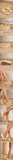 Yellow Soft Espadrille Wedge Heel Sandals Women Adjustable Ankle Strap Pink Jute Platform Summer Shoes Big Size 43