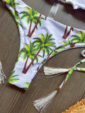 2026 New Women's Swimsuit Neck Hanging Bikini Set Split Beach Swimsuit 2-piece Set with Tassel Decoration
