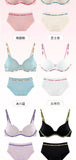 Wireless Non Padded Bra Set for Small Bust Seamless Comfort Bralette & Briefs Pure Elegant Ladies Intimates Teen Girls Underwear