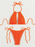2025 Halter Tie Side Hollow Out Smocked Bikini Women Swimsuit Female Swimwear Two Pieces Bikini Set Swim Bathing Suit Beach Wear