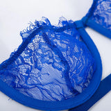 Lace Women's Sexy Underwear Underwire Bra & Panty Lingerie 2pcs/Set (In Stock)