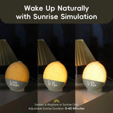 Wake Up Light Sunrise Alarm Clock,White Noise Machine,30 Soothing Sounds,12 Color Dimmable Night Light for Bedroom Heavy Sleeper