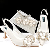 doershow  Italian niceShoes With Matching Bags Set Italy African Women's Party Shoes and Bag Sets peach Color Women sh  HQS1-25
