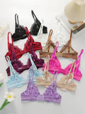 Beautiful fashionable colored strip steel support underwear thin lace semi transparent women's underwear sexy Lingerie HR2635