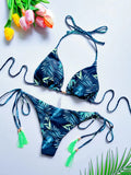 2026 New Women's Swimsuit Neck Hanging Bikini Set Split Beach Swimsuit 2-piece Set with Tassel Decoration