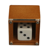 Magic Dice Magic Props Dice Trick Dot Number Change Dice Magic Stage Illusion Props Toys For Kids Adults