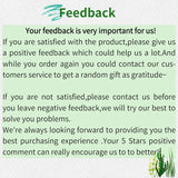 High-Rise G-String Women's Sexy Panties Seamless Female Underwear Fashion Sports Thongs Women T Panties Ladies Lingerie Tangas