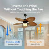 Orison Outdoor Ceiling Fan With Lights Dimmable LED 6 Speed