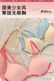 Wireless Non Padded Bra Set for Small Bust Seamless Comfort Bralette & Briefs Pure Elegant Ladies Intimates Teen Girls Underwear