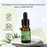 10ML Air Freshener Natural Plant Aromatherapy Essential Oil Air Conditioning Perfume Refill Aroma Diffuser Fragrance Humidifier