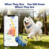 WANWAYTECH GPS Pet Tracker For Dogs And Cats Real Time Tracking