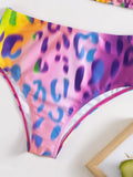 3 Pieces Leopard High Waist Bikini Triangle Swimsuit Top Halter Swimwear Women 2026 Bathing Swimming Suit Female Beachwear