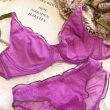 Elegant French Design Minimizer Bra Fashion Triangle Cups Structural Support Ultra Thin Soft Mesh Lingerie Set MOYISU Sexy Tushy
