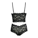 2026 Sexy Lace Flower Printed Lingerie Set for Women Thin Adjustable Shoulder Strap Triangle Cup Bralette And Underwear Suit