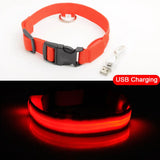 LED Dog Collar - Anti-Lost Rechargeable Safety Light-Up Collar for Night Walks